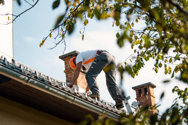 Best Roof Waterproofing Services  in Bellevue, WI