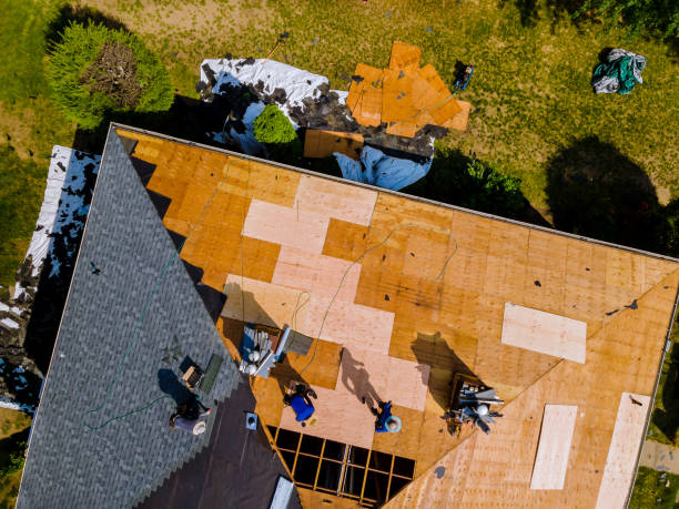 Professional Roofing Contractor in Bellevue, WI