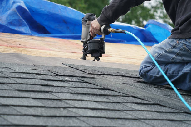 Best Metal Roofing Contractor  in Bellevue, WI