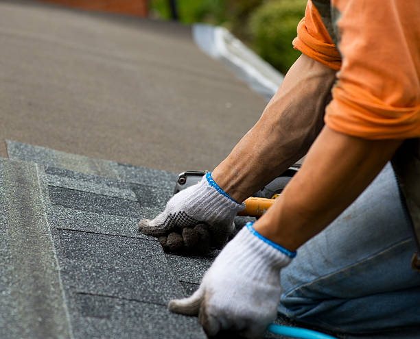 Best Flat Roof Repair Services  in Bellevue, WI
