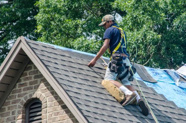 Best Roof Leak Repair  in Bellevue, WI